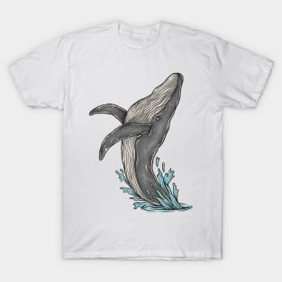 whale T-Shirt